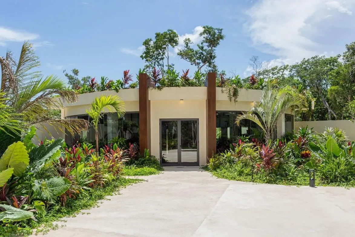 Daire Ixmali, Jungle Studio Avec Vue Proche De La Plage Tulum